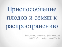 Презентация по биологии 6 класс по теме: Приспособление семян