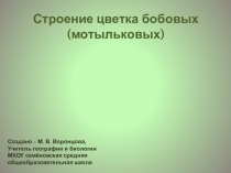 Презентация по биологии лабораторная работа Строение цветка бобовых