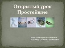 Открытый урок в 7 клаасе на тему: Простейшие