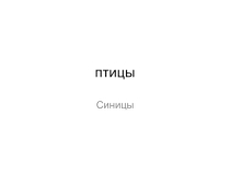 Презентация Птицы для учащихся 5 класса коррекционной школы 8 вида.