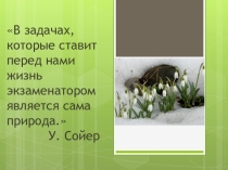 Математика и экология.