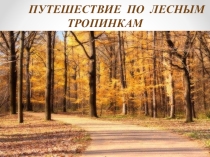 Классный час на тему: Путешествие по лесным тропинкам