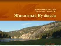 Животные Кузбасса группа раннего возраста