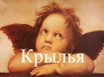Проект: КРЫЛЬЯ - материалы с ШМО