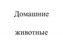 Презентация по окружающему миру Домашние животные для детей дошкольного возраста.