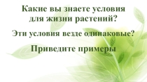 Презентация Условия жизни растений