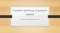 Презентация по биологии Сажаем рассаду сладкого перца