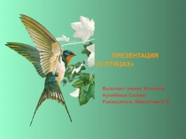 Презентация к уроку окружающий мир- Мир птиц
