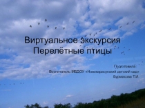 Занятие, Презентация, Перелетные птицы