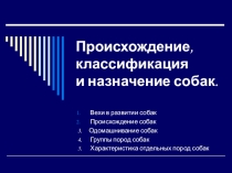 Презентация по кинологии на тему Происхождение, классификация и назначение собаки
