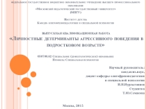 Презентация Личностные детерминанты агрессивного поведения в подростковом возрасте