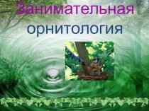 Презентация по биологии на тему Занимательная орнитология 7 класс