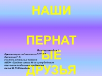 Презентация Наши пернатые друзья