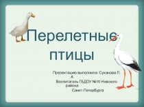 Презентация для дошкольников Перелетные птицы