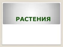 Презентация по окружающему миру Разнообразие растений