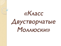 Презентация по биологии на темуКласс двустворчатые моллюски(8 класс)