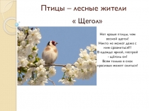 Презентация по окружающему миру