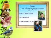 Презентация по дополнительному образованию (биология) Изменение видового состава птиц п. Реммаш