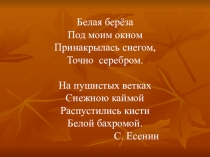 Презентация урока Типы текстов.