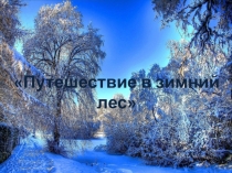 Презентация к занятию по развитию речи в старшей группе Путешествие в зимний лес