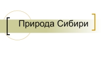 Презентация для интерактивной доски Природа Сибири