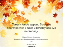 Презентация к областному конкурсу Балтийские звездочки науки