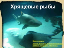 Презентация по биологии на тему Хрящевые рыбы