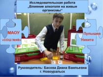 Исследовательская работа. Презентация Влияние алкоголя на живые организмы