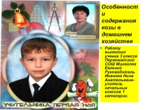 Презентация Особенности содержания козы