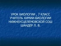 Презентация по биологии на тему Пингвины(7 класс)
