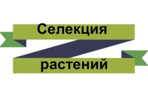 Презентация по биологии на тему Селекция растений (11 класс)