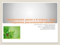 Презентация по биологии Строение растительной клетки