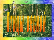 Презентация Птицы весной( к Дню Птиц)