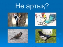 Презентация по казахскому языку на тему Үй құстары (4 класс)