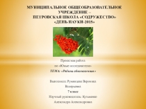 Презентация по биологии_ 6 класс_ Рябина обыкновенная