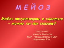 Презентация по общей биологии на тему Мейоз (10 класс)