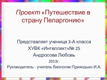 Презентация Путешествие в страну Пеларгонию