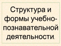Структура и формы учебно-познавательной деятельности обучающихся СПО