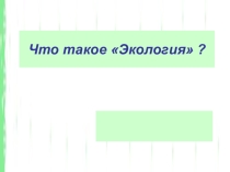Что таоке экология?