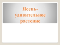 Презентация по теме Ясень- удивительное растение.