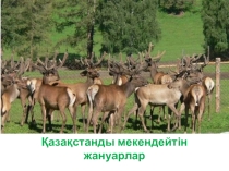 Презентация.Тақырыбы: Қазақстанды мекендейтін жануарлар