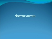 Фотосинтез