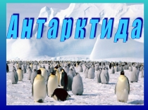 Презентация по географии на тему Антарктида