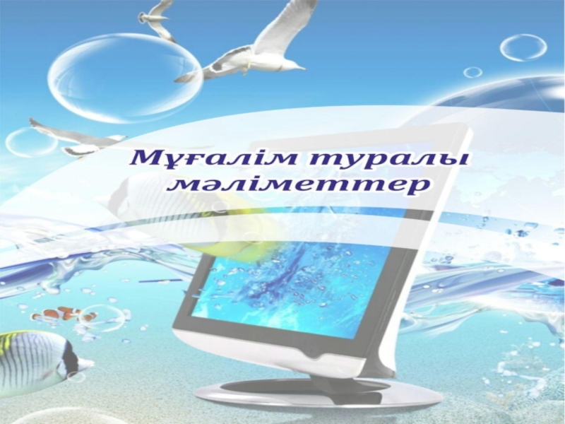 Информатика пәні мұғалімінің портфолиосы
