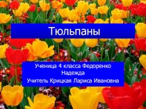 Тюльпаны 4 класс