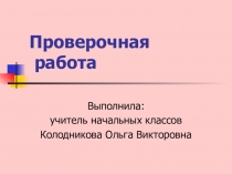 Презентация Проверочная работа 2. Слова, отвечающие на вопросы кто? что?