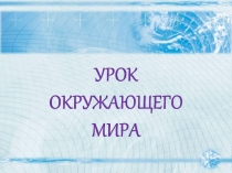 Презентация по окружающему миру Форма Земли