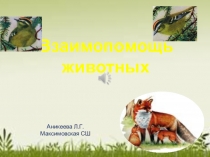 Презентация по познанию мира Взаимопомощь животных