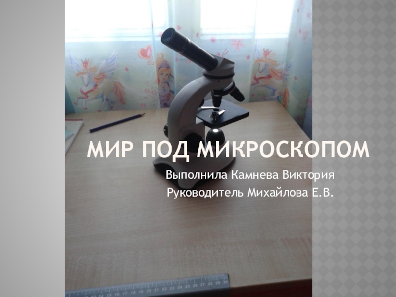 Презентация по естествознанию Мир под Микроскопом