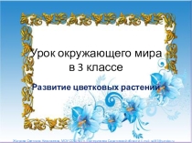 Презентация Развитие цветковых растений 3 класс